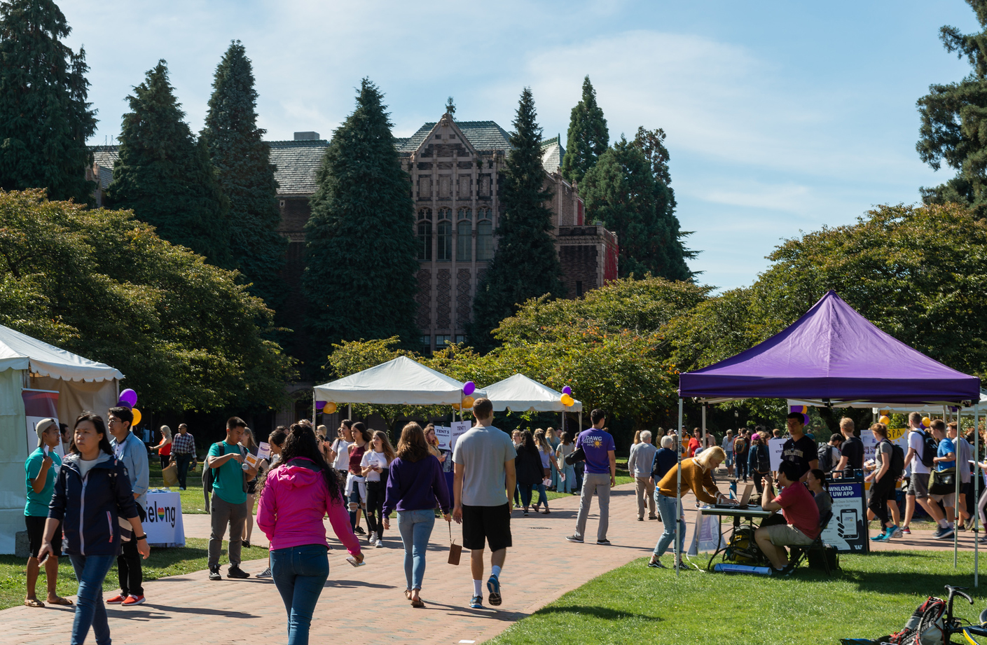 Students walk in the quad on a sunny day