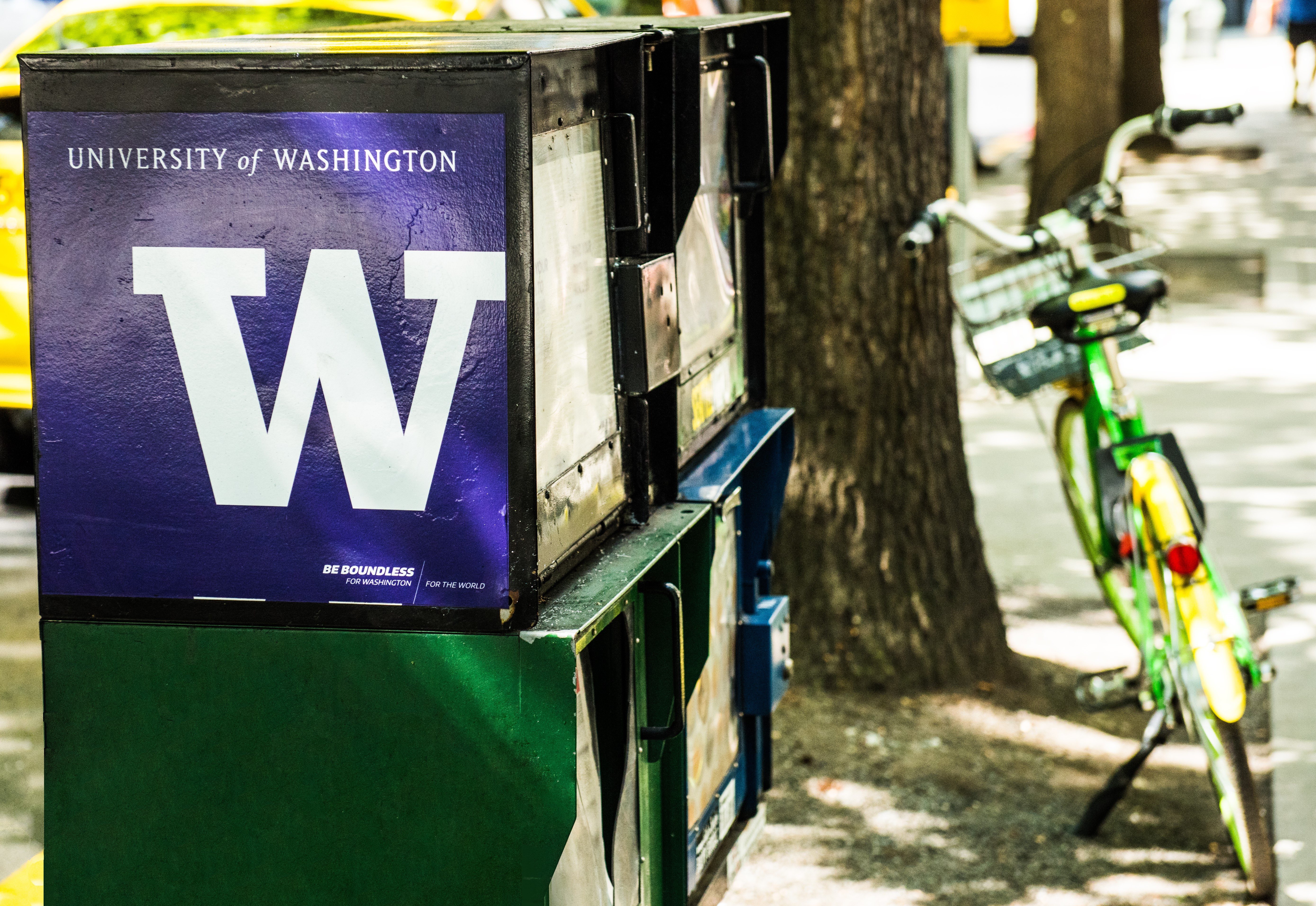 Picture of newspaper box with UW logo next to a tree with a bicycle leaning against it.